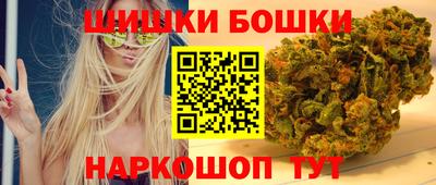 индика Обь