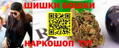 индика Обь
